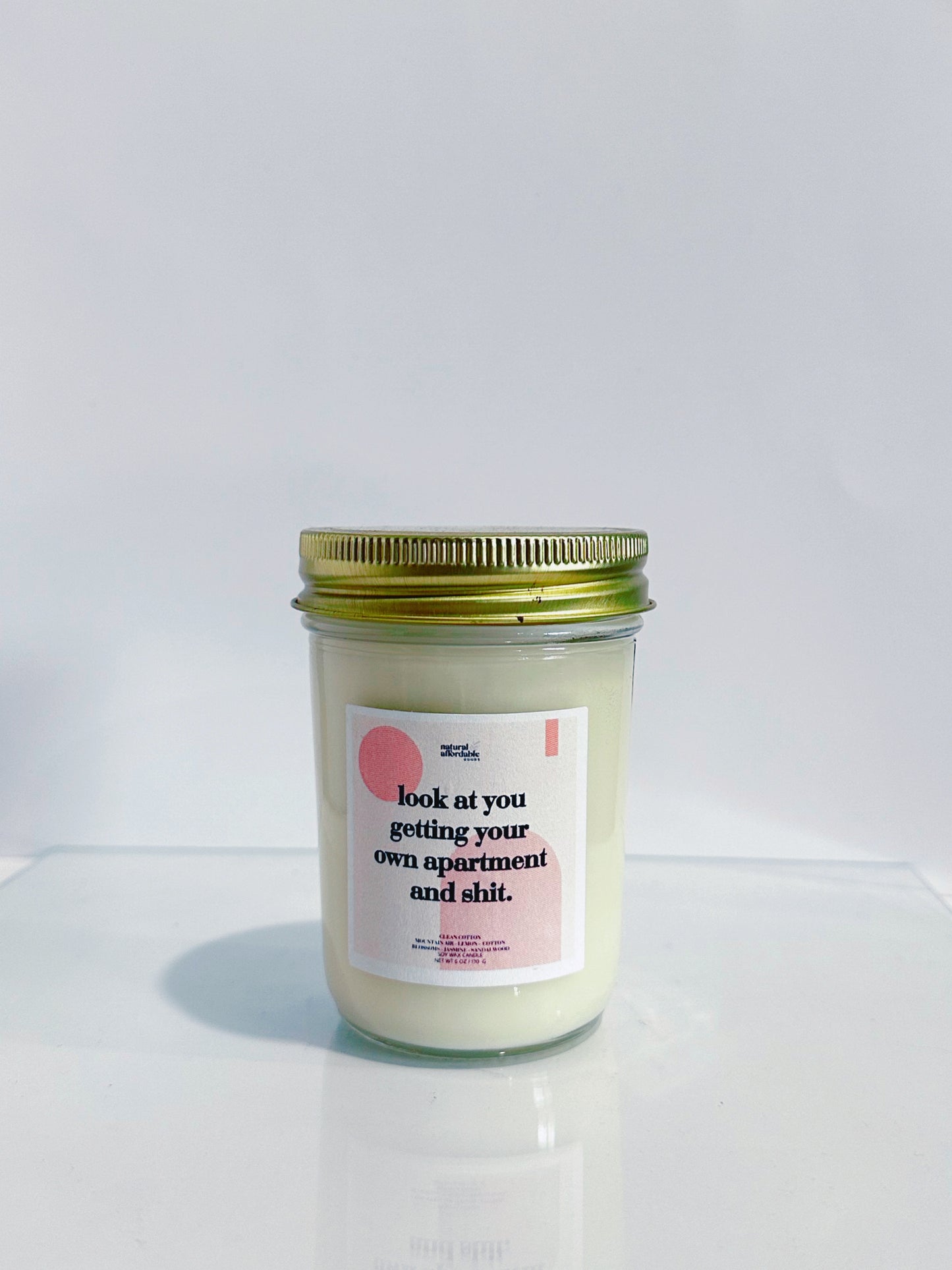 Look At You Getting Your Own Apartment And Shit Soy Candle | Clean Cotton