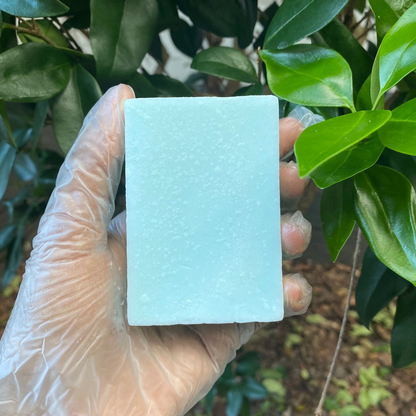 Berries & Creme Soap Bar