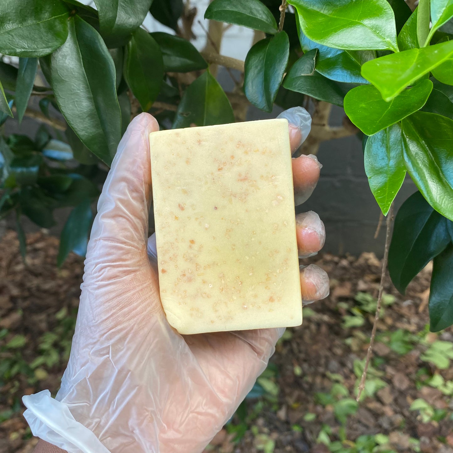 Orange Sunflowers Soap Bar